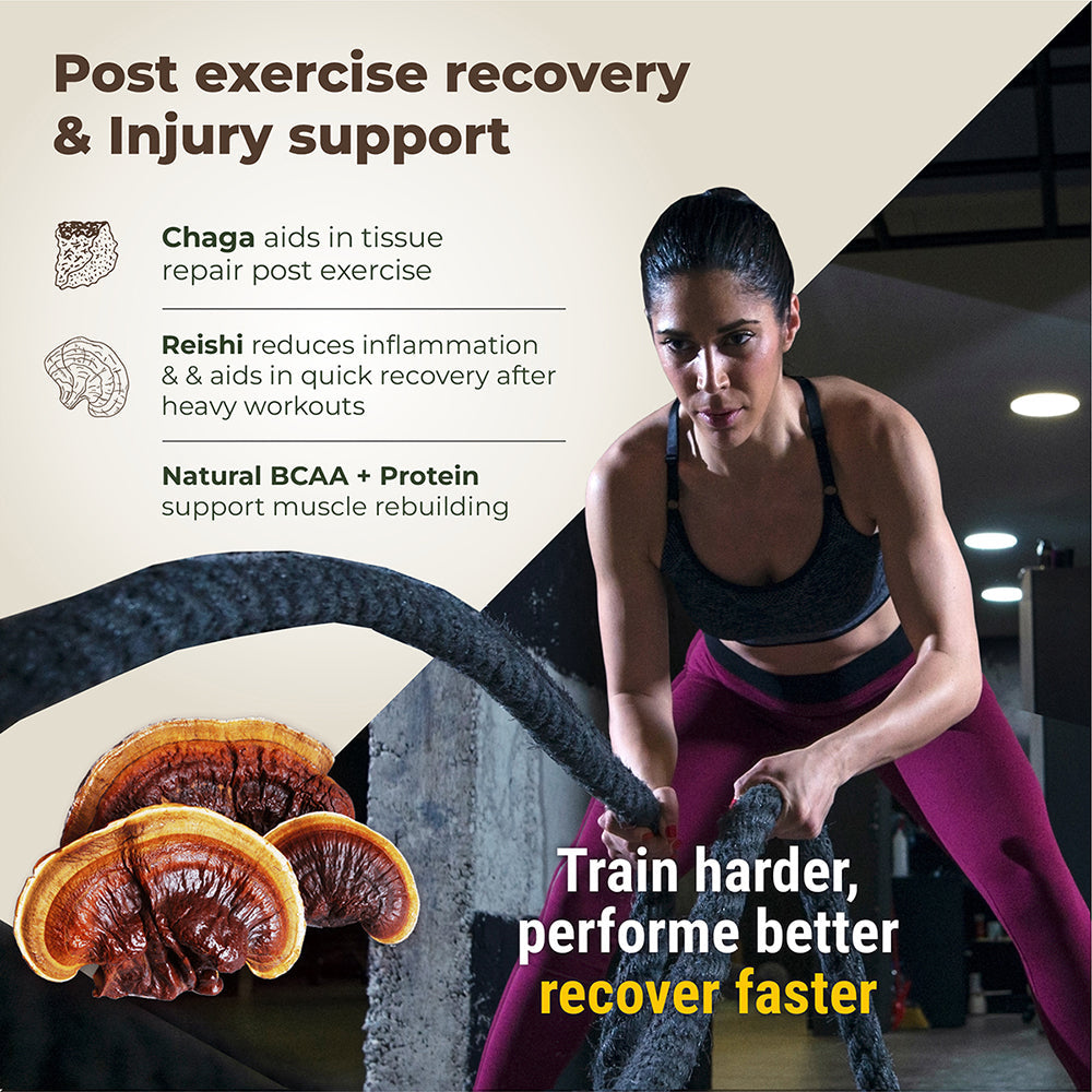 Pro-Build Plant Protein + 6 Mushroom Superpower