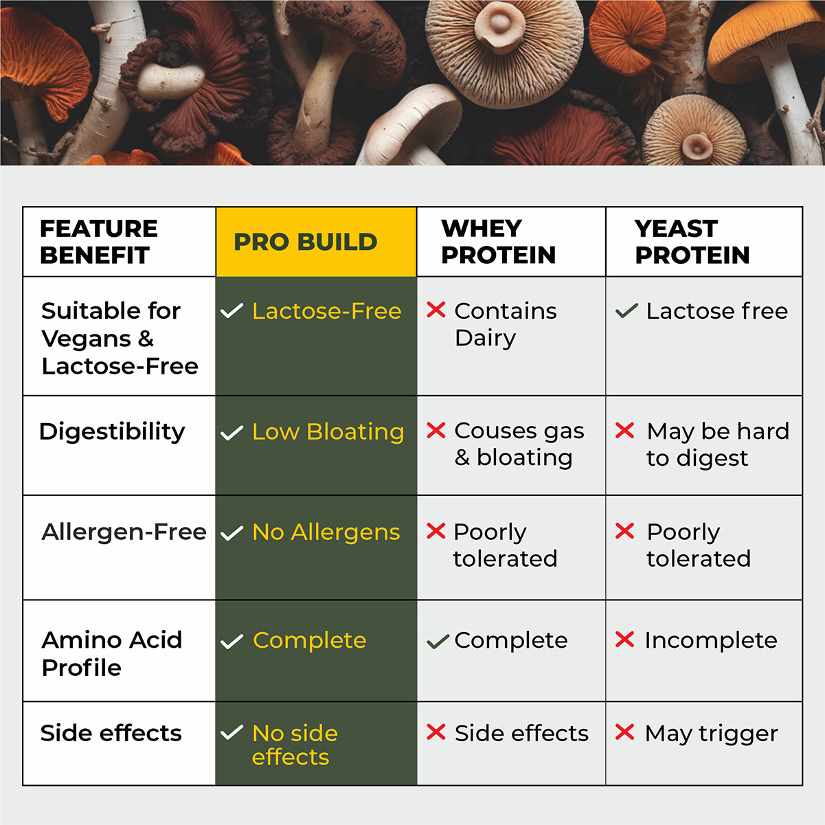 Pro-Build Plant Protein + 6 Mushroom Superpower